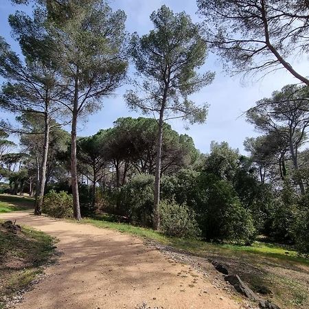 Chez K&D Studio Nature Avec Piscine St Raphael Saint-Raphaël 외부 사진